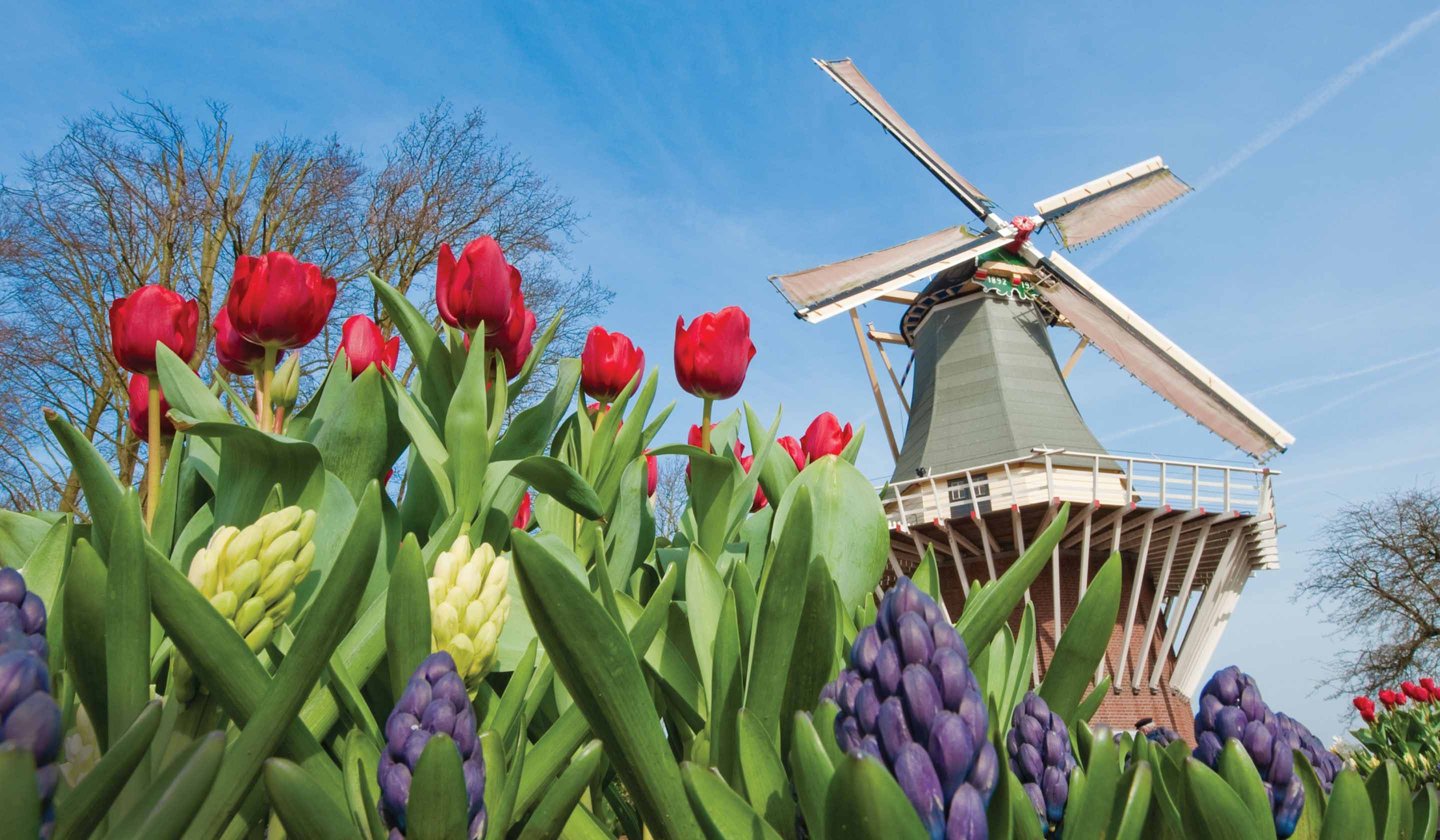 Netherlands & Belgium Tours & Vacation Packages | Tauck