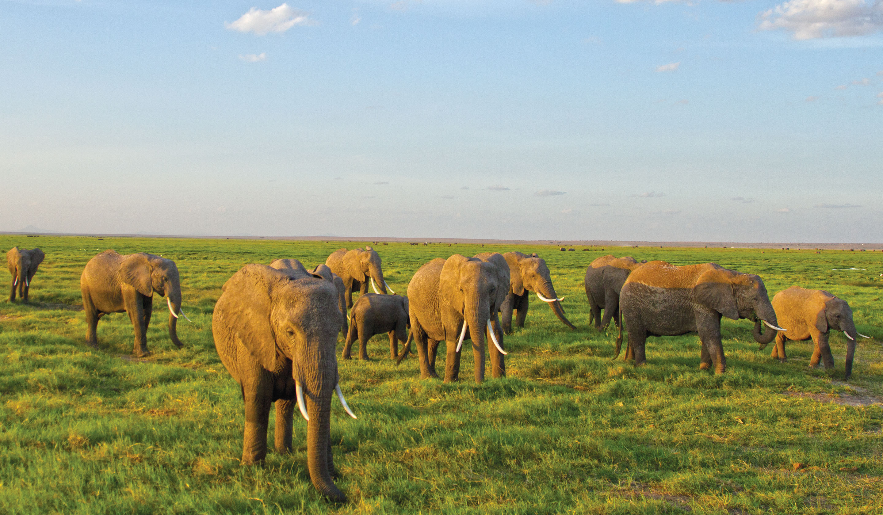 On Location With BBC Earth