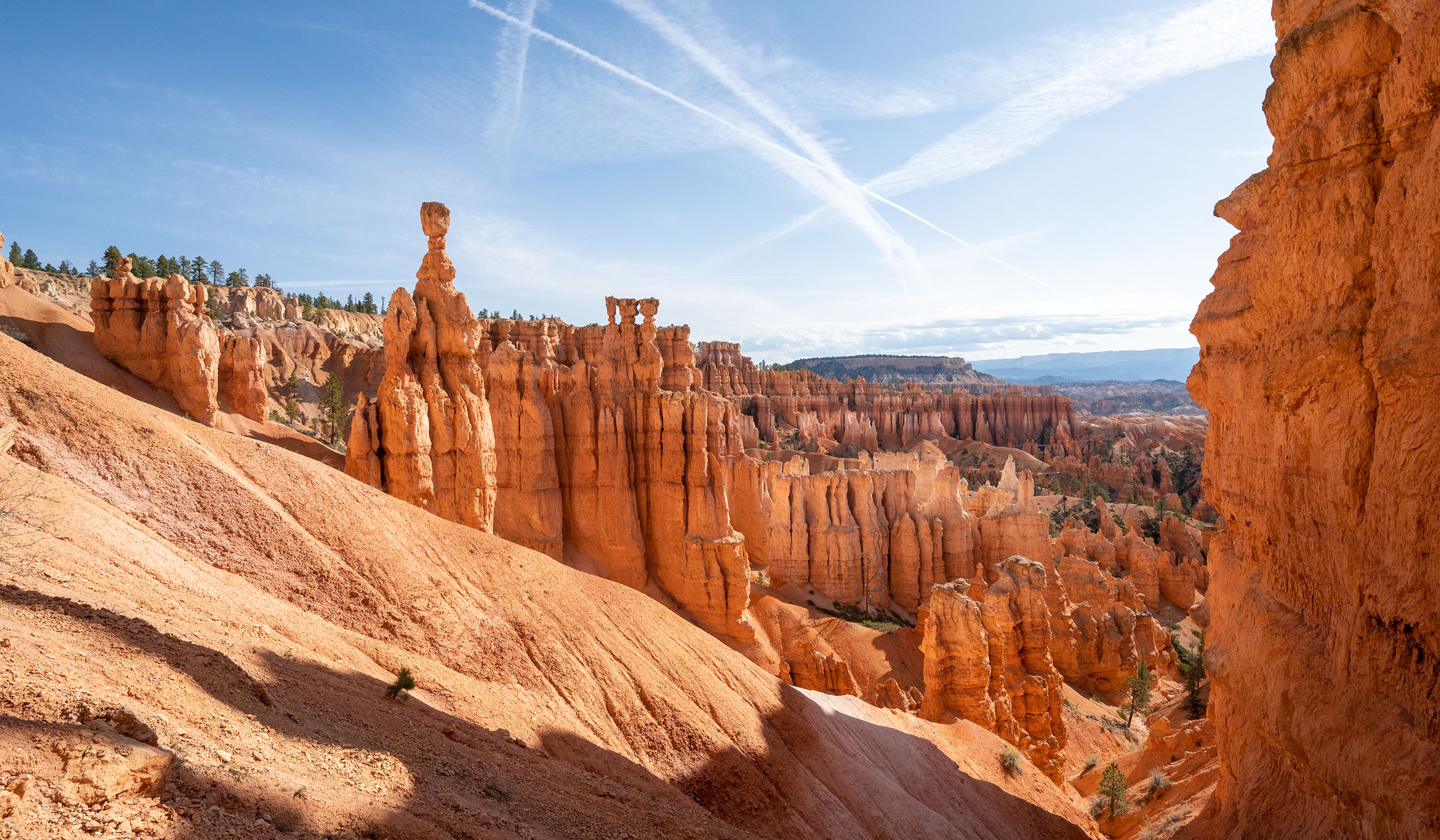 Fishing Nets for sale in Bryce Canyon City, Utah, Facebook Marketplace