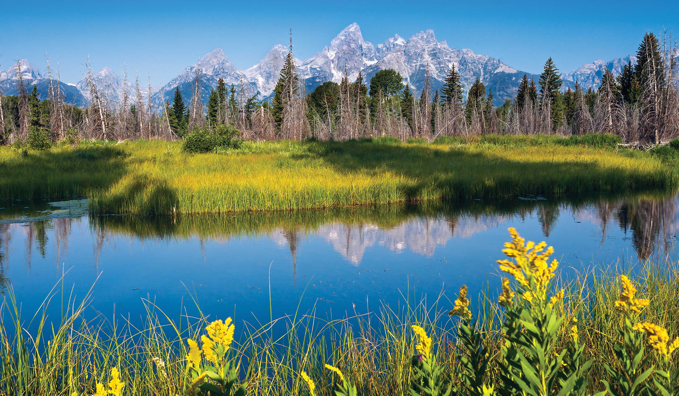 Tour Yellowstone & Grand Teton National Parks with Salt Lake City