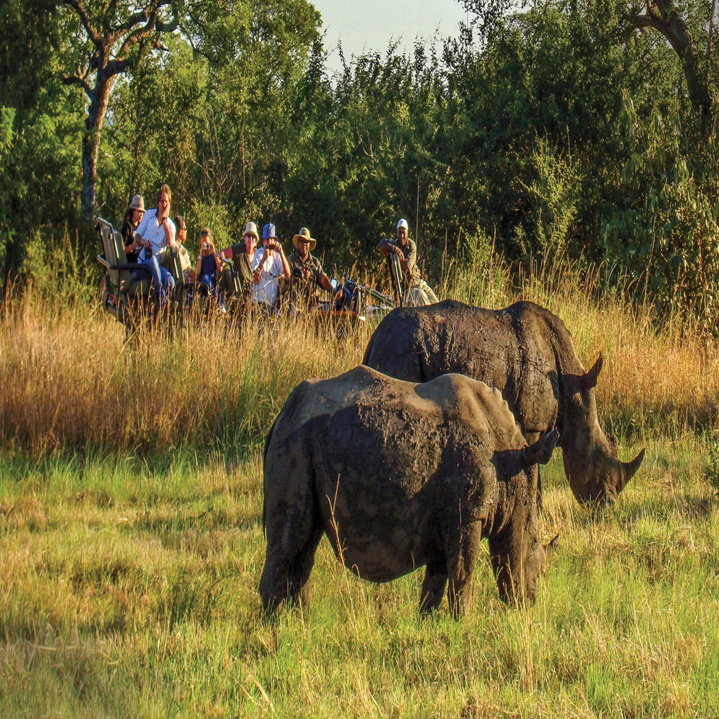 South Africa Safari & Tours Tauck