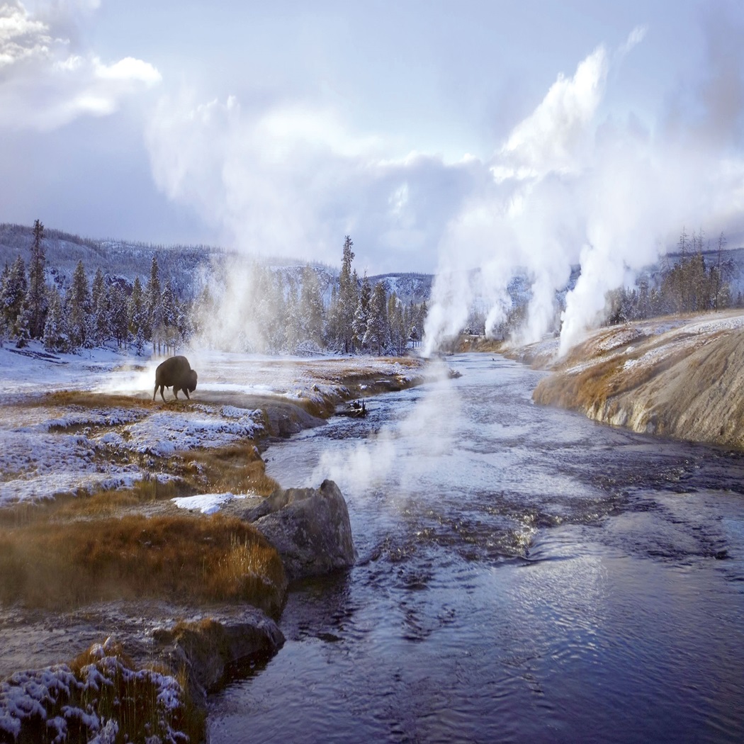 Yellowstone Winter Tours & Tour Packages 2024 / 2025 Tauck