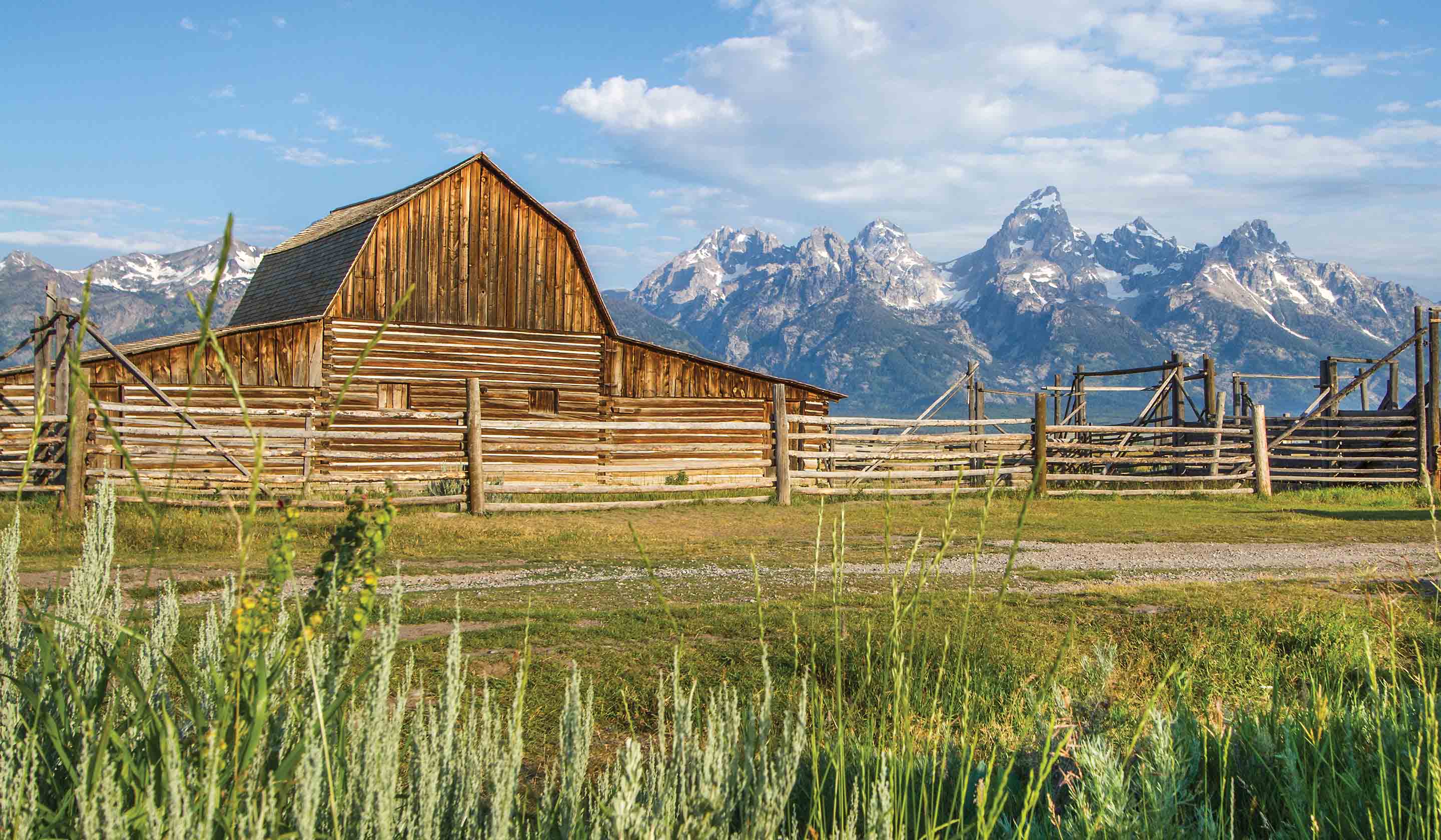 Yellowstone Guided Tours & Tour Packages | Tauck