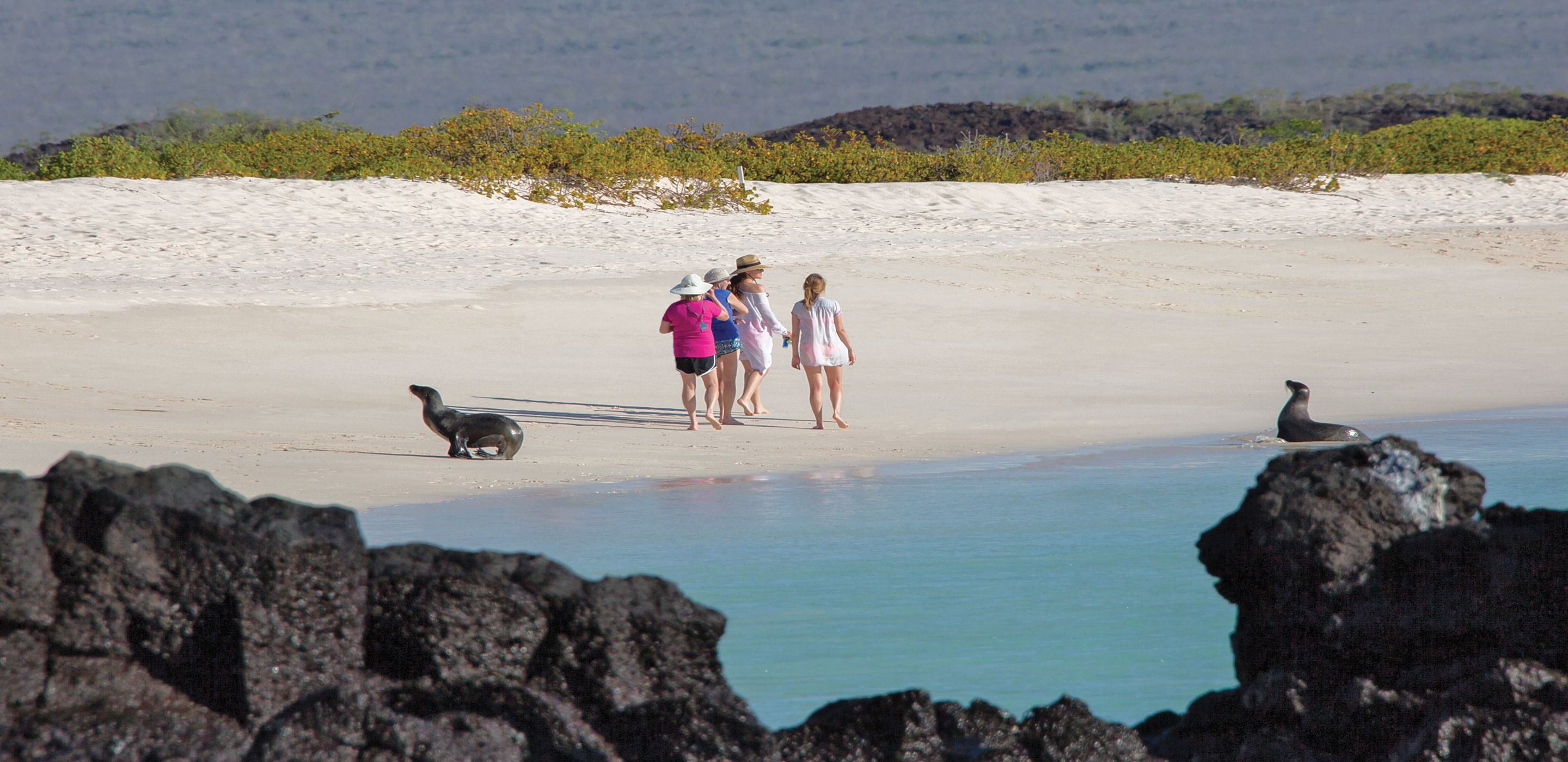 galapagos islands tauck tours