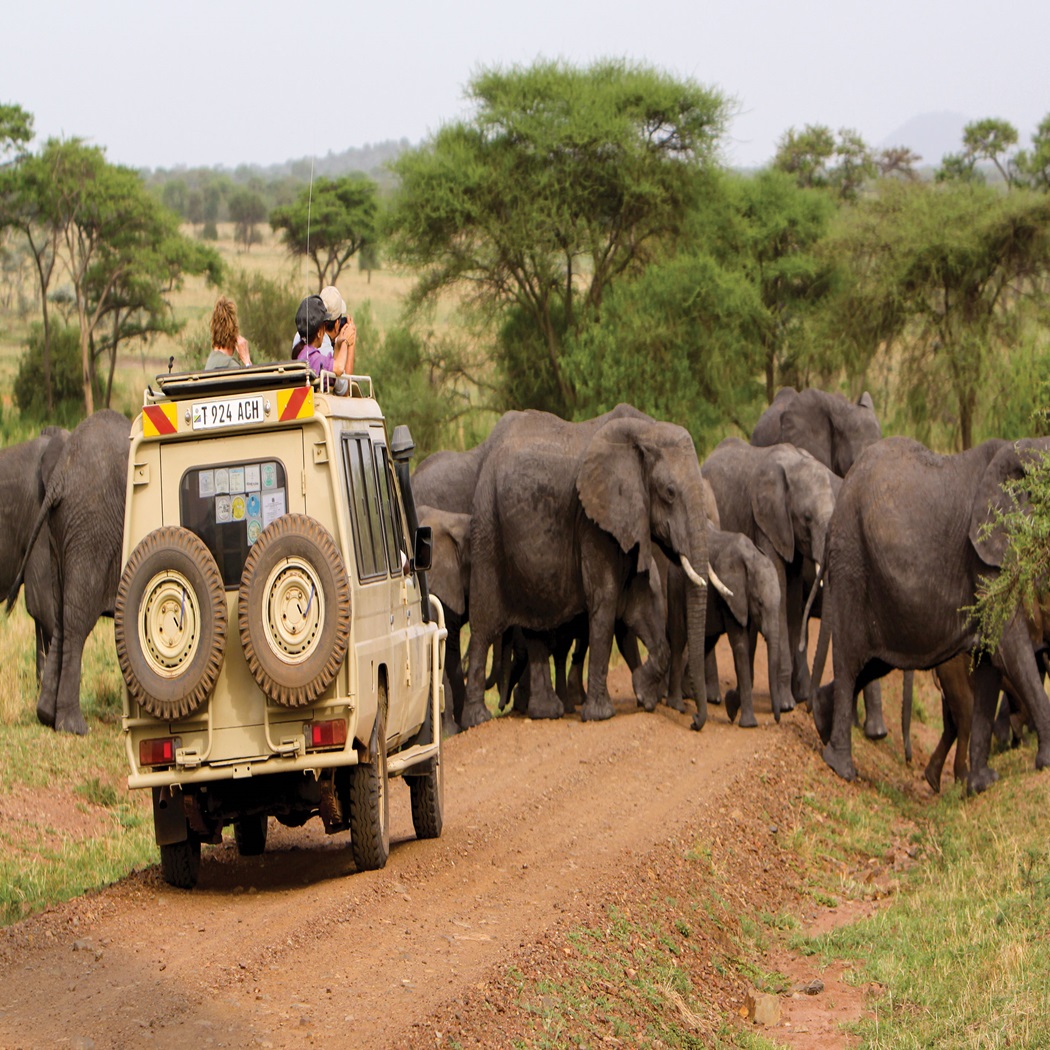 tauck tour african safari