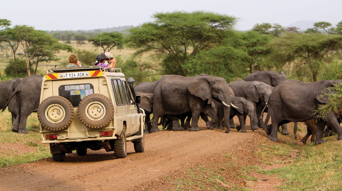 tauck safari kenya tanzania
