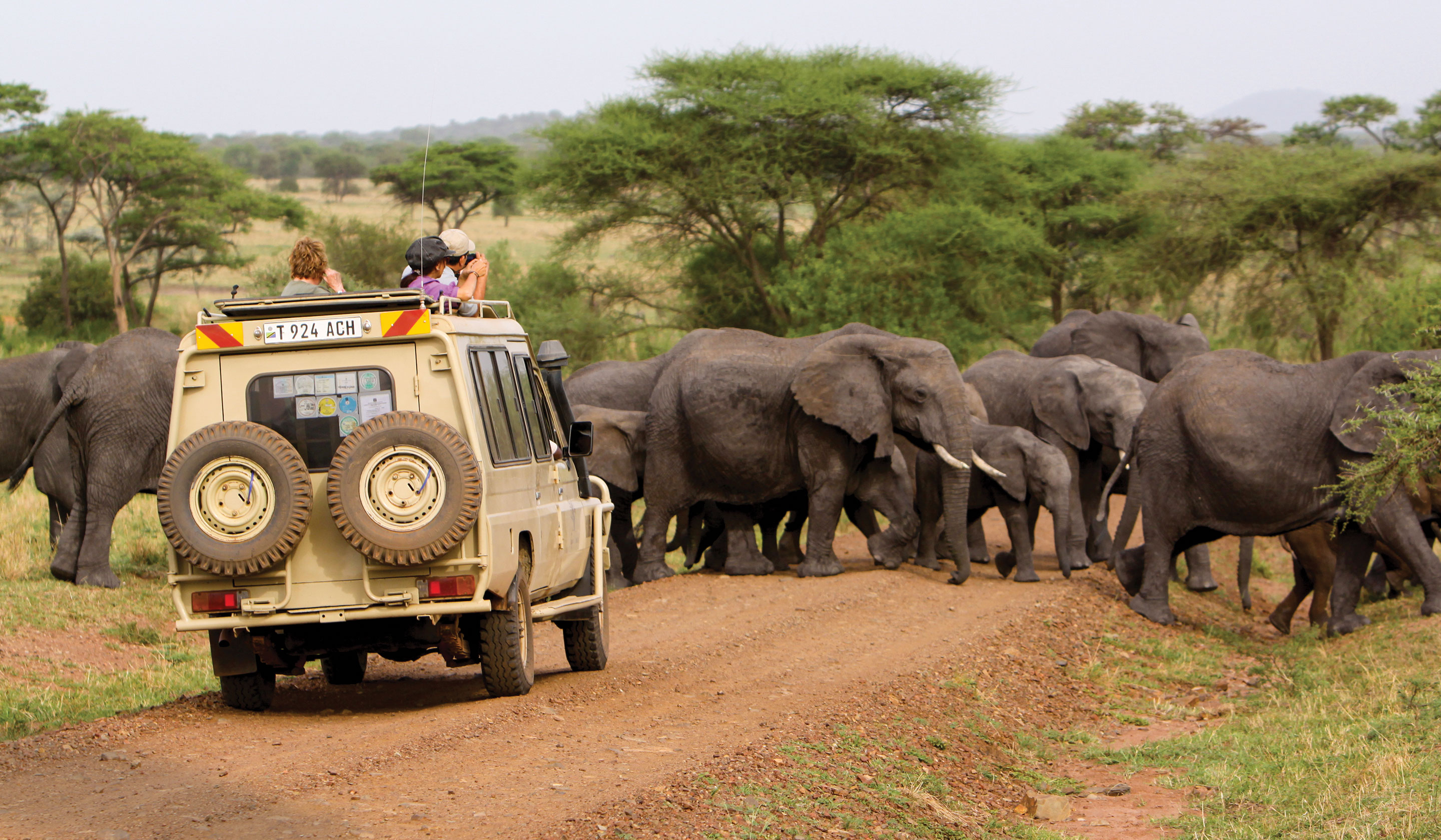 Tanzania: A Grand Family Safari