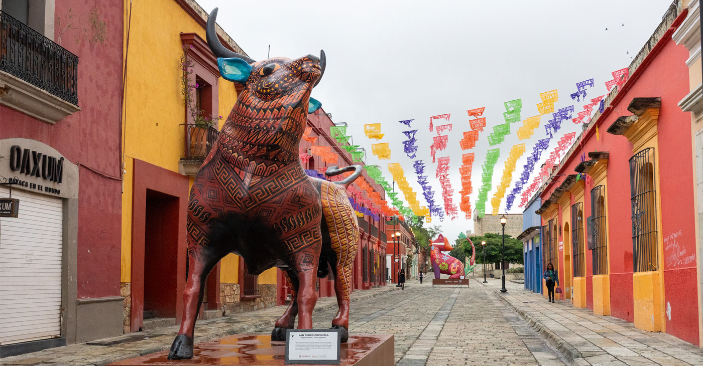 A Week In… Mexico City and Oaxaca